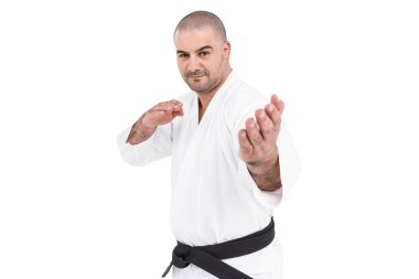 Fighter performing karate stance clipart