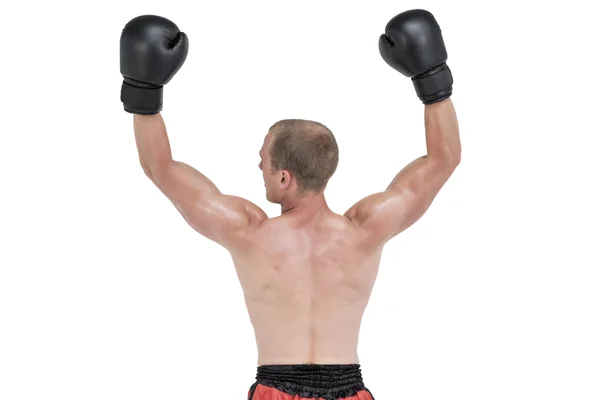 Boxer posing after victory — Stock Photo, Image