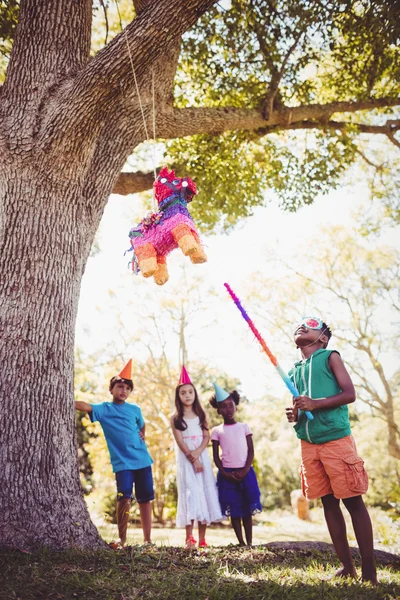 Boy is going to broke pinata — Stock Photo, Image