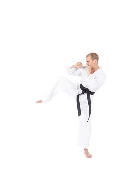 Fighter performing karate stance — Stock Photo, Image