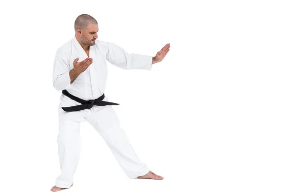 Fighter performing karate stance — Stock Photo, Image