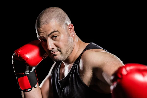 Boxer performing upright stance — Stock Photo, Image