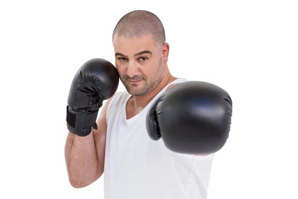 Boxer utför upprätt hållning — Stockfoto
