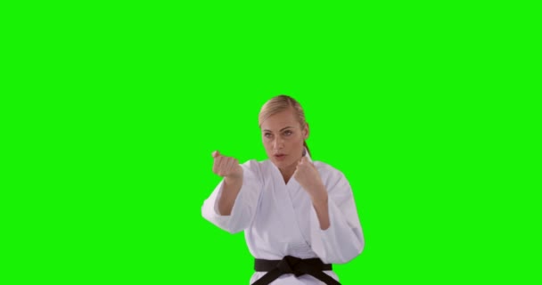 Sportvrouw is het beoefenen van martial art — Stockvideo