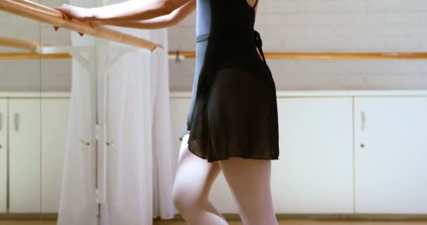 封闭的芭蕾舞女演员正在做练习与酒吧 — 图库视频影像