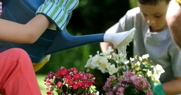 Дівчина поливає квіти перед своєю сім'єю — стокове відео