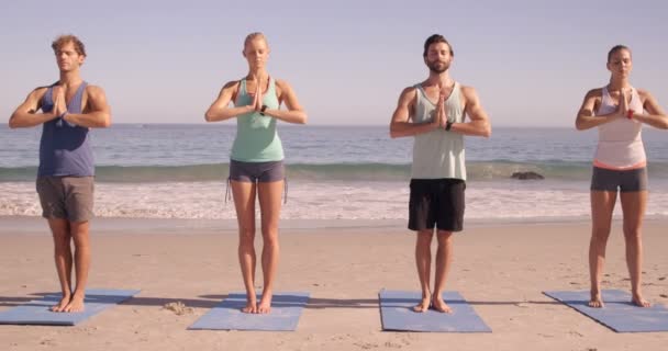 Cuatro amigos haciendo yoga — Vídeo de stock