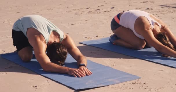 Amigos haciendo yoga juntos — Vídeo de stock