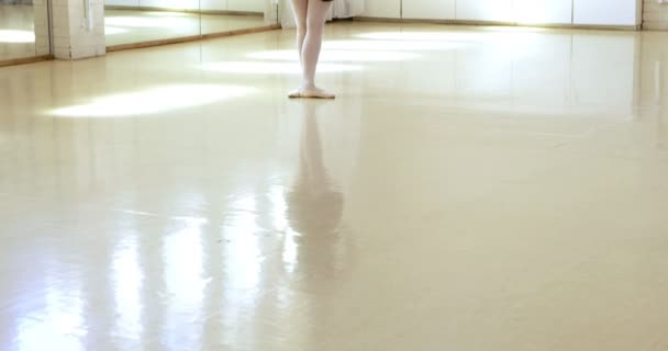 舞蹈芭蕾舞演员前面观 — 图库视频影像