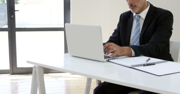 Uomo d'affari seduto digitando sul suo computer portatile — Video Stock