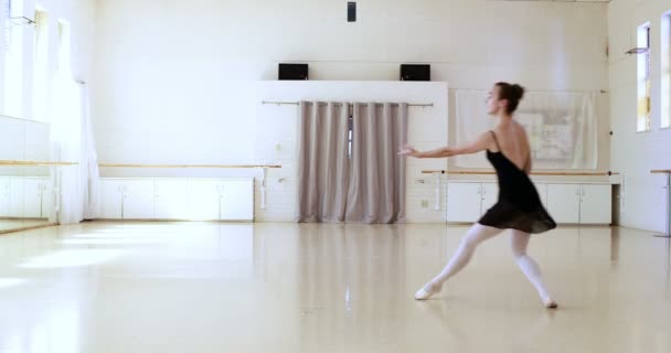 La ballerine du dos danse — Video