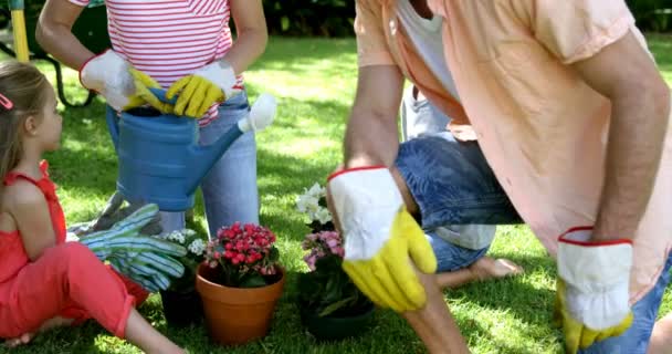 Vater mit seiner Familie bei der Gartenarbeit — Stockvideo