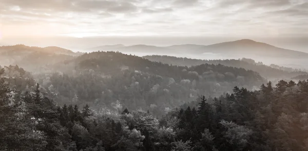 Alberi e montagne — Foto Stock