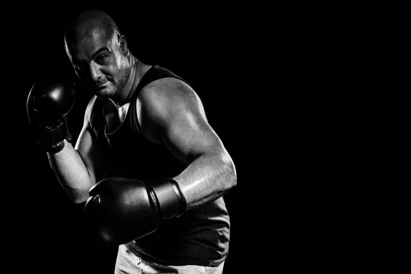 Boxer presterende boksen houding — Stockfoto