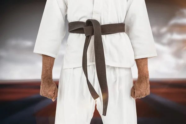 Középső szakasz karate játékos — Stock Fotó