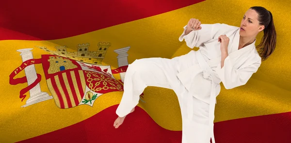 Fighter performing karate stance — Stock Photo, Image