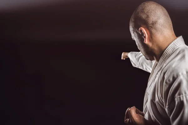 Bojovník hraje karate postoj — Stock fotografie