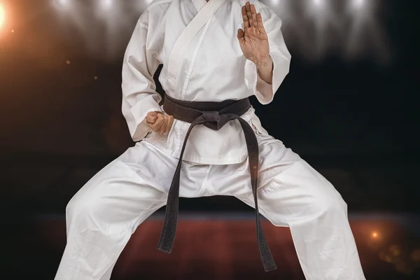 Kämpfer mit Karate-Haltung — Stockfoto