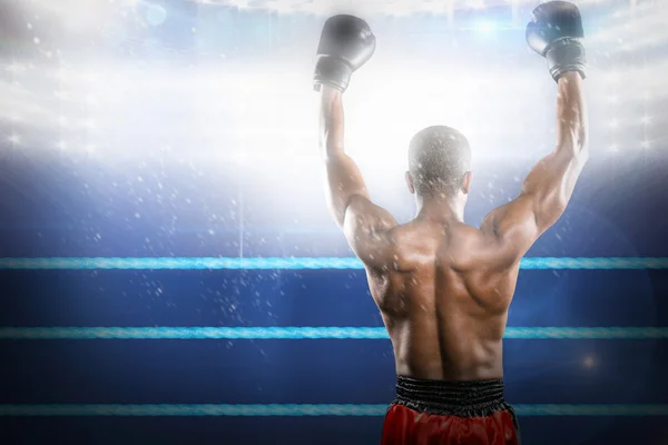 Boxer posing after victory — Stock Photo, Image