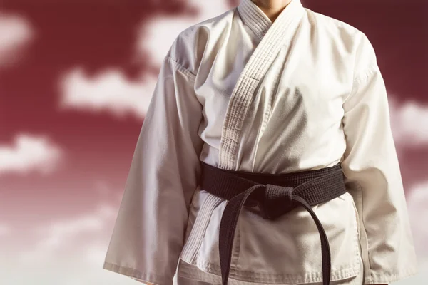 \mid szakasz karate játékos — Stock Fotó