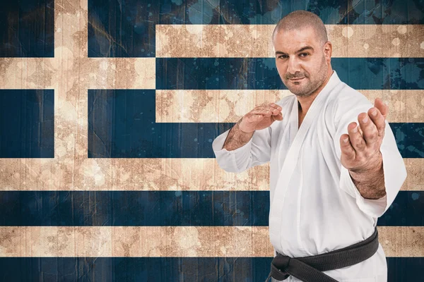 Taistelijan karateasento — kuvapankkivalokuva