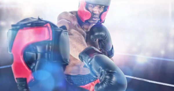 Visão traseira do boxer de pé — Fotografia de Stock