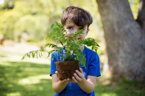 Pojken håller planta växt — Stockfoto