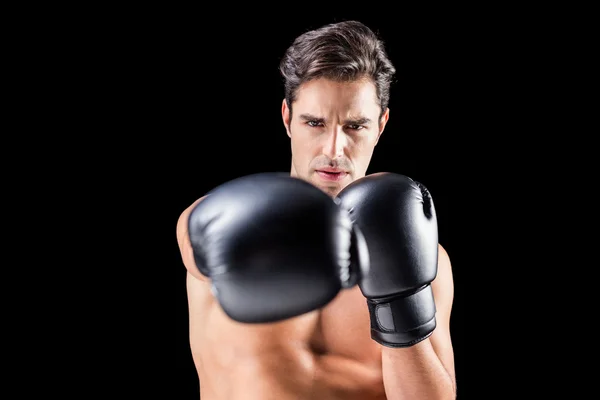 Boxer performing upright stance — Stock Photo, Image