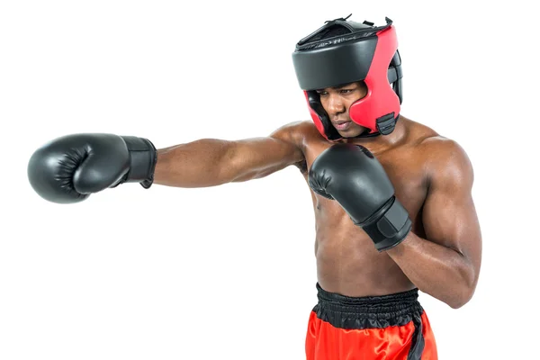 Boxer performing upright stance — Stock Photo, Image