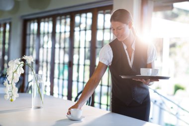 waitress serving cup of coffee clipart