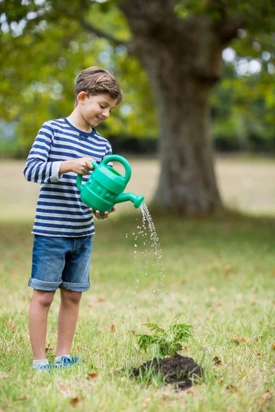 Boy watering a young plant — Stock Photo, Image