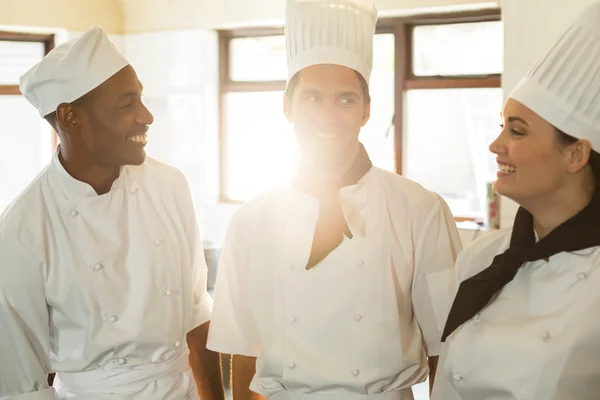 Capo chef che discute con i colleghi — Foto Stock