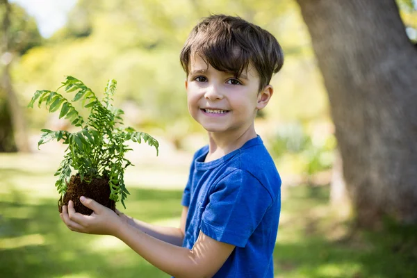 Niño sosteniendo planta de plantación —  Fotos de Stock