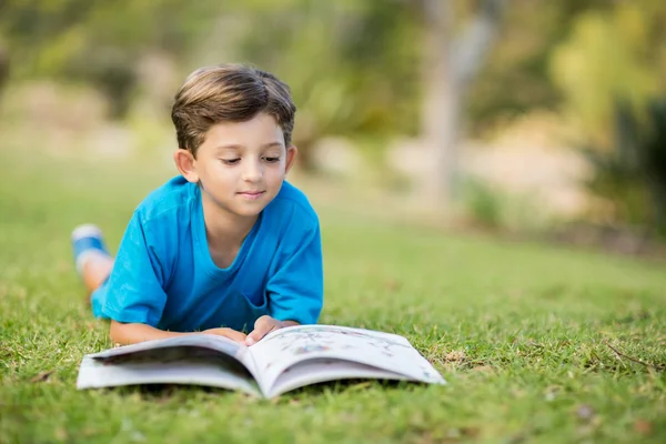 Jovem menino leitura livro no parque — Fotografia de Stock