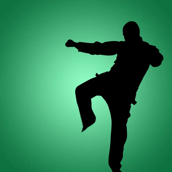 Combatiente realizando postura de karate —  Fotos de Stock