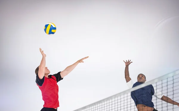 Deportistas posando mientras juegan voleibol —  Fotos de Stock