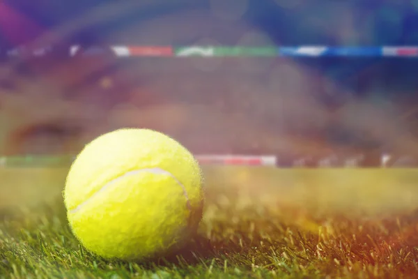 Tennisboll på gräs — Stockfoto