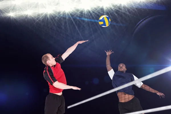 Sportsmen poserar medan du spelar volleyboll — Stockfoto