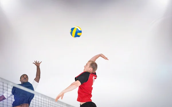 Sportsmen poserar medan du spelar volleyboll — Stockfoto
