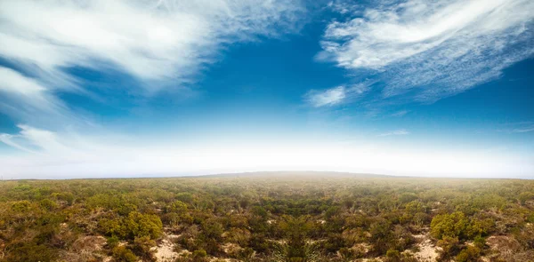 Vista del campo vuoto — Foto Stock