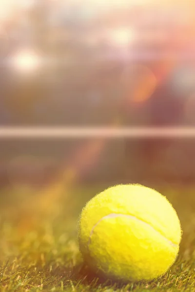 Μπάλα τένις στο γρασίδι — Φωτογραφία Αρχείου