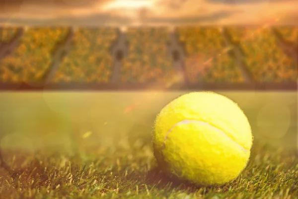 Tennisball auf Gras — Stockfoto