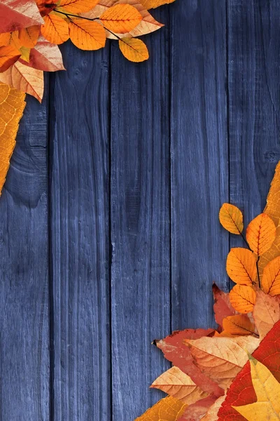 Autumn leaves on wood — Stock Photo, Image