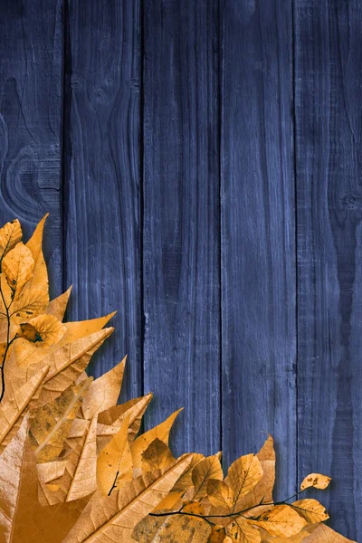 Autumn leaves on wood — Stock Photo, Image