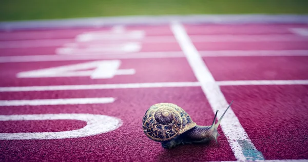 Imagen compuesta de caracol —  Fotos de Stock