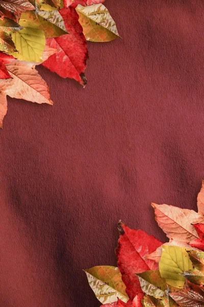 Herfst bladeren patroon — Stockfoto