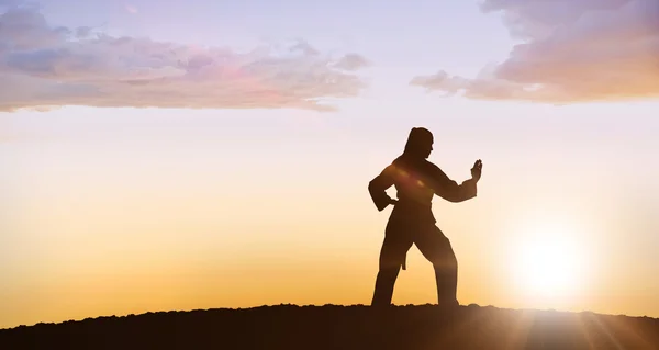 Vrouwelijke vechter presterende karate houding — Stockfoto