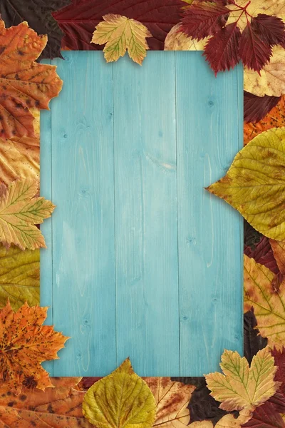 Foglie di autunno su legno — Foto Stock