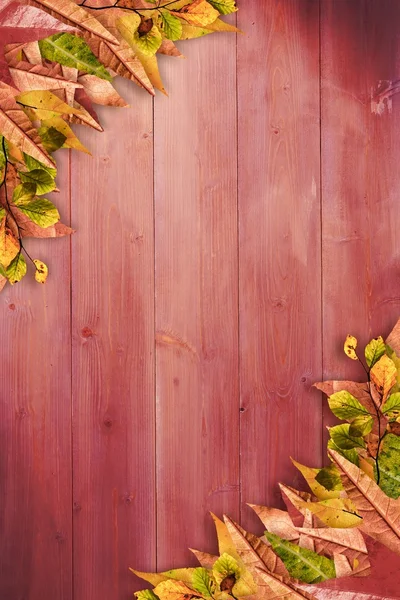 Φύλλα φθινοπώρου σε ξύλο — Φωτογραφία Αρχείου