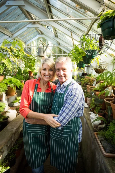 Casal em meio a plantas em estufa — Fotografia de Stock